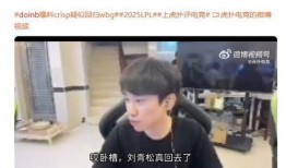 刘祉辰爆料的人是谁呀视频,神秘人物身份大起底